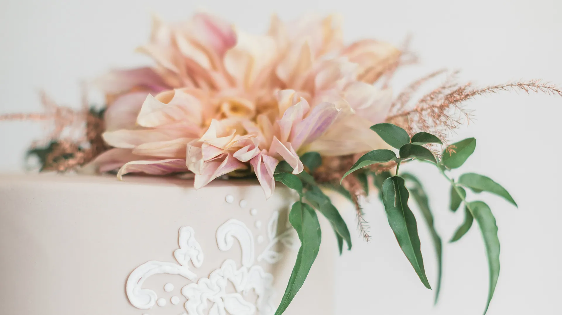 Gallery Header Background
